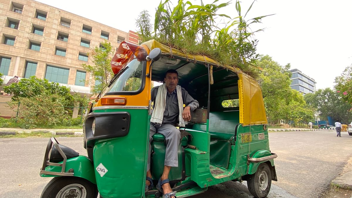 "Plant trees to save lives," says 48-year-old Mahendra Kumar, who went viral for growing plants on his auto.