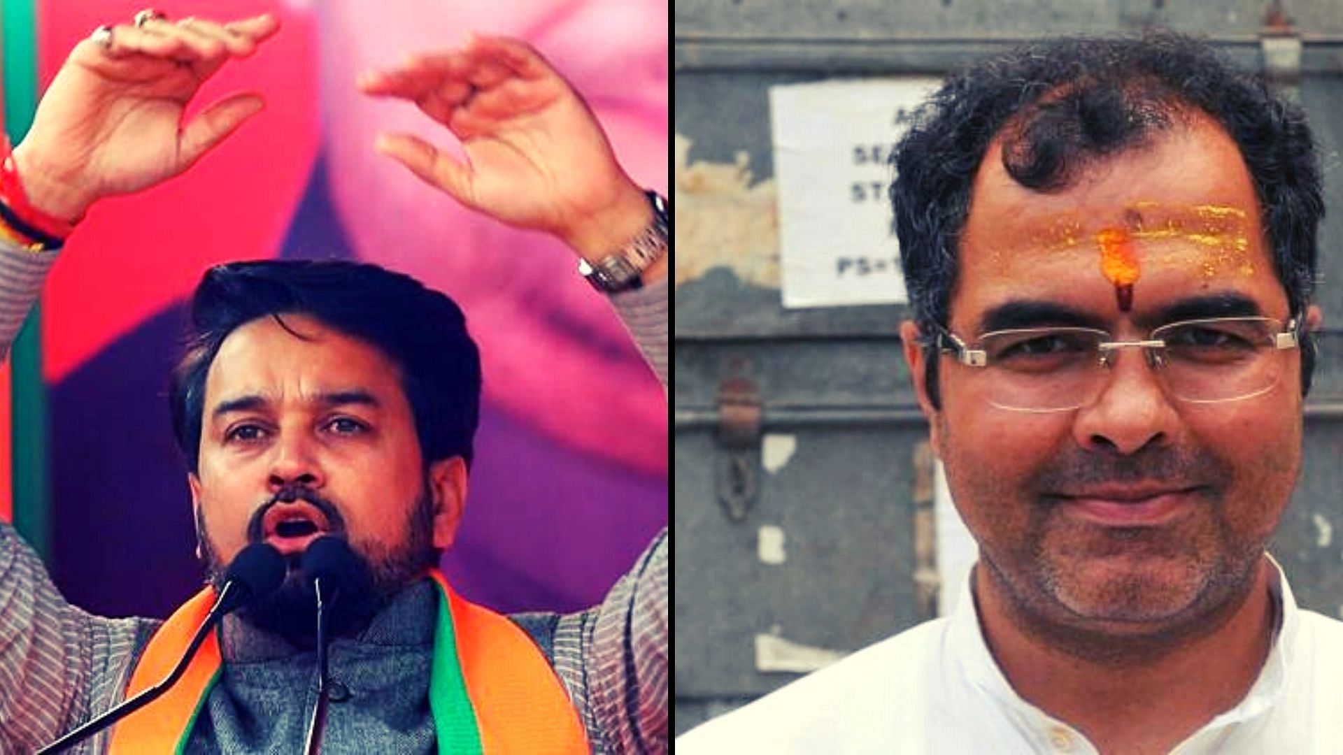 <div class="paragraphs"><p>BJP leaders Anurag Thakur and Parvesh Sharma</p></div>