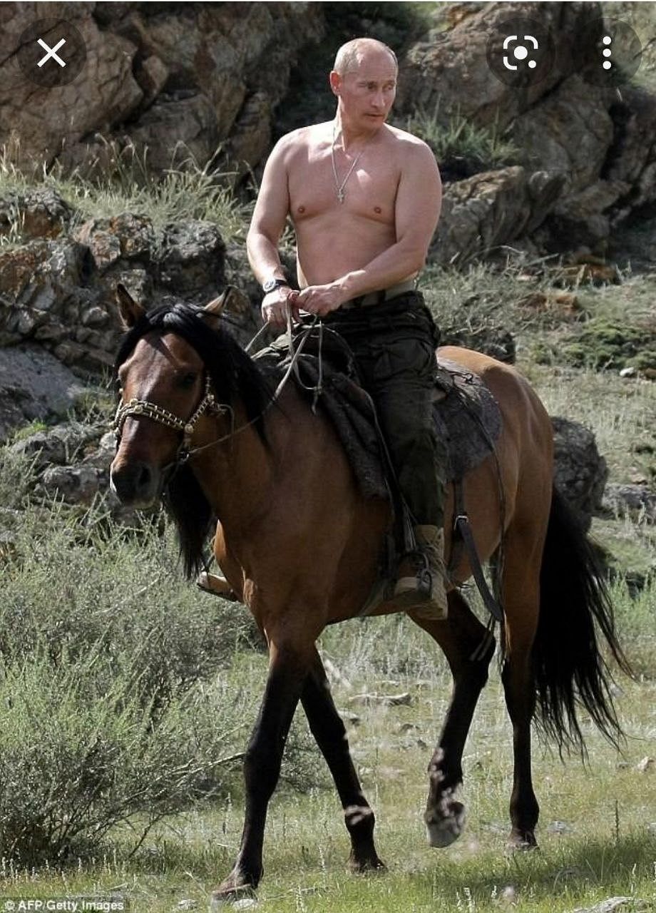 They were referring to a picture in which Putin is seen riding a horse barechested in southern Siberia 12 years ago.