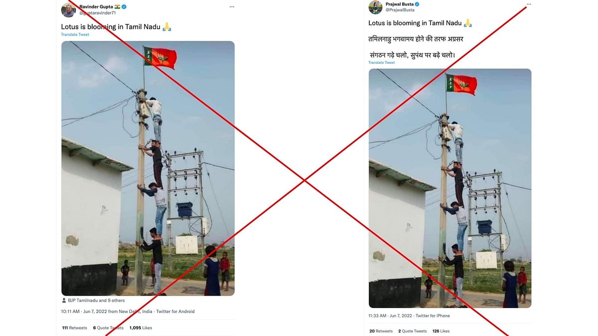 The original image was of a Bahujan Samaj Party flag at a village in Uttar Pradesh. 