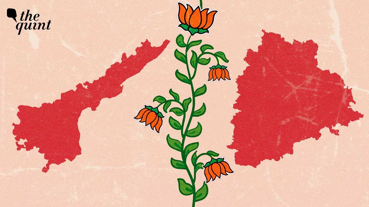 <div class="paragraphs"><p>In Telangana the BJP has been making inroads, even as its performance in AP has not been exciting for the saffron party.</p></div>