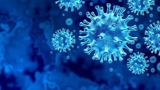 <div class="paragraphs"><p>India has reported 2,300 new coronavirus infections and 13 deaths in the last 24 hours. (The image is representative)</p></div>