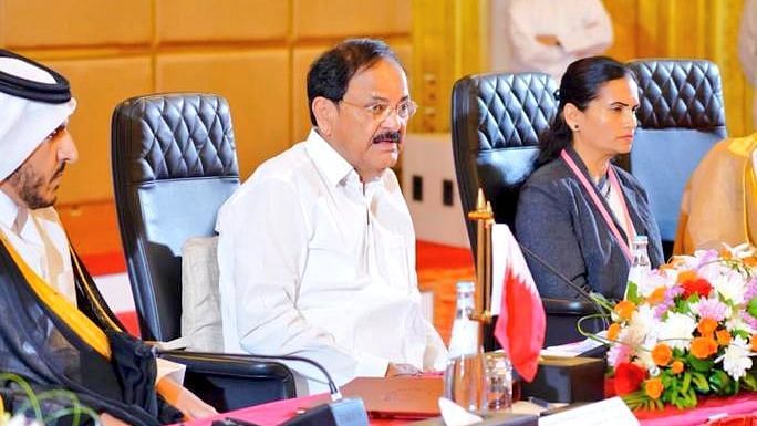 <div class="paragraphs"><p>Vice President M Venkaiah Naidu addressing members of the business community at India-Qatar Business Forum in Doha, Qatar on Sunday, 5 June. </p></div>