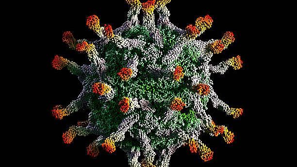 <div class="paragraphs"><p>Model of a polio virus capsid (the green spherical organism) binding to polio virus receptors (the protruding multicoloured molecules.)</p></div>
