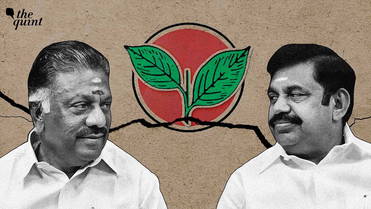 Future of Jayalalithaa Loyalists: What Next for OPS & EPS in AIADMK?