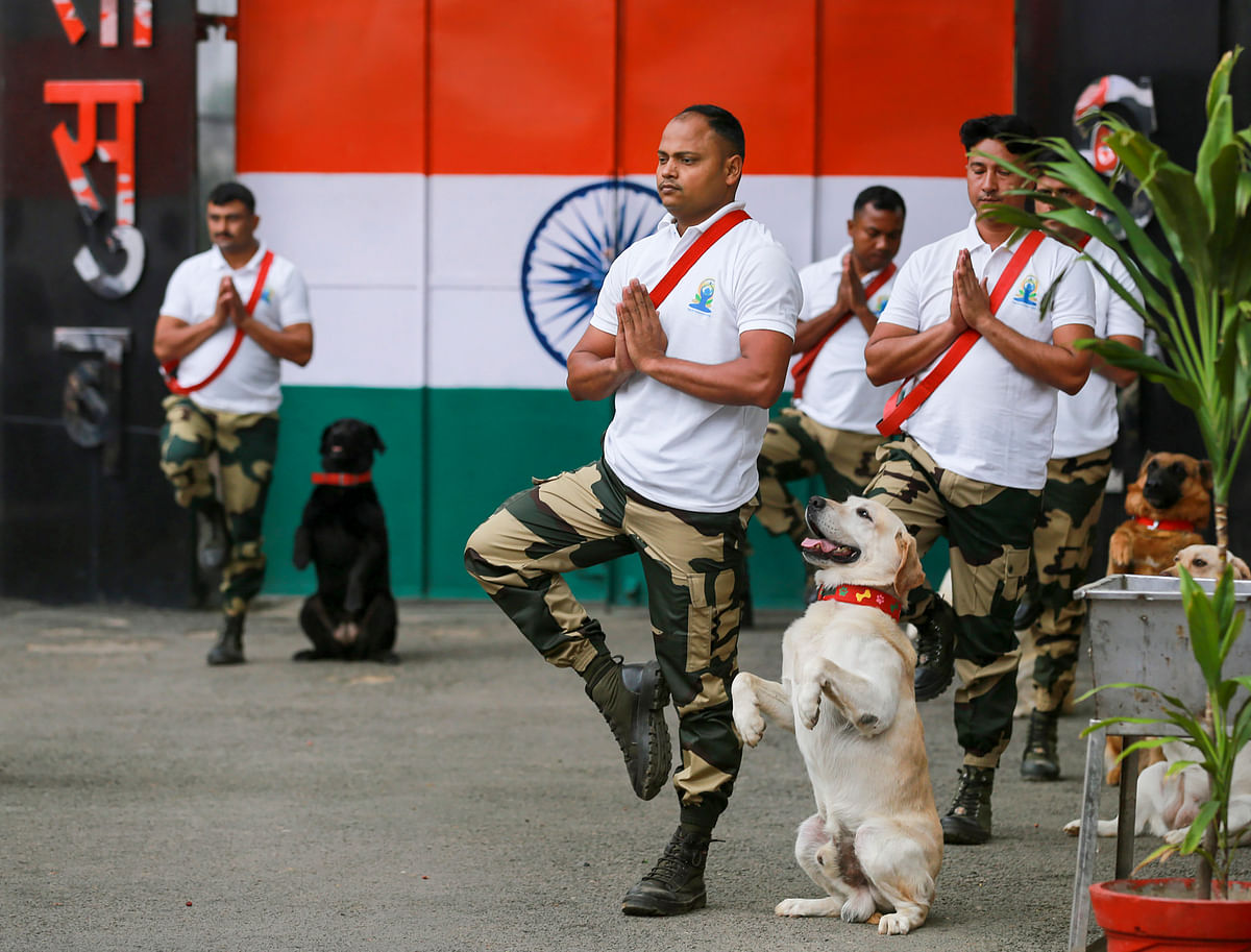 <div class="paragraphs"><p>Border Security Force (BSF) personnel with their sniffer dogs during a yoga session, on the occasion of the 8th International Day of Yoga, at Suchetgarh border post, in Jammu on Tuesday.</p></div>
