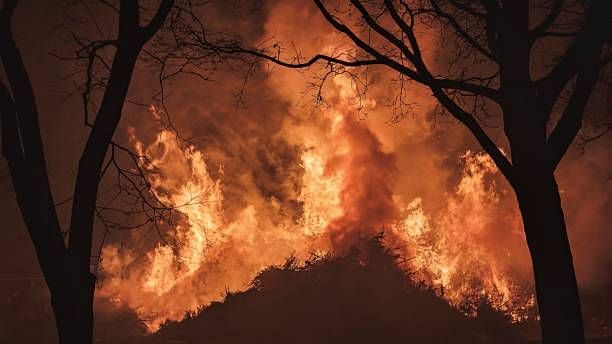 <div class="paragraphs"><p>Coupled with months of below average rainfall, a heatwave sparked wildfires on July 19 – Britain’s hottest day ever – in places as far afield as Cornwall, Kent and Pembrokshire. Wildfires also gave the London Fire Brigade its busiest day since the second world war.</p><p></p><p>(Image used for representation only.)</p></div>