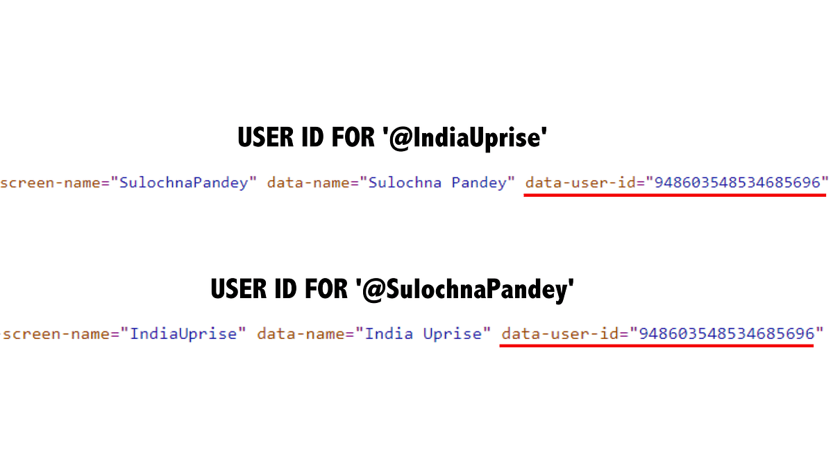 The impostor account of 'DrGurpreetKaur_' was initially named '@SulochnaPandey' and '@IndiaUprise.'