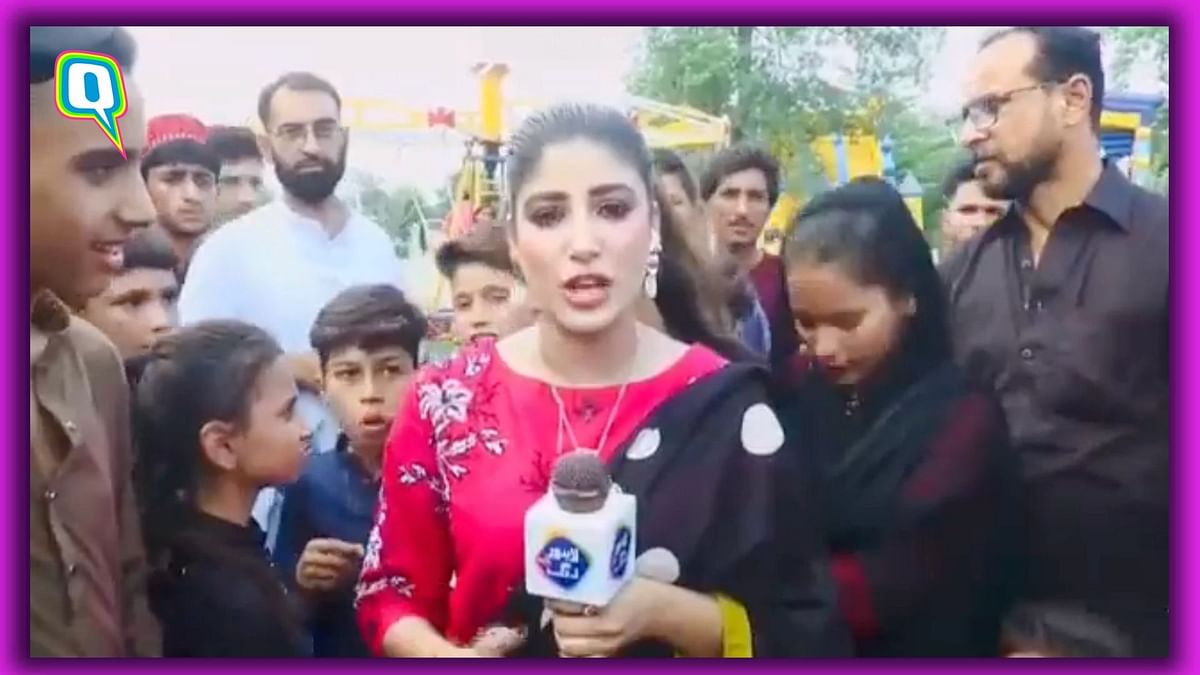 Viral: Pakistani Journalist Slaps Young Man Heckling Her on Camera
