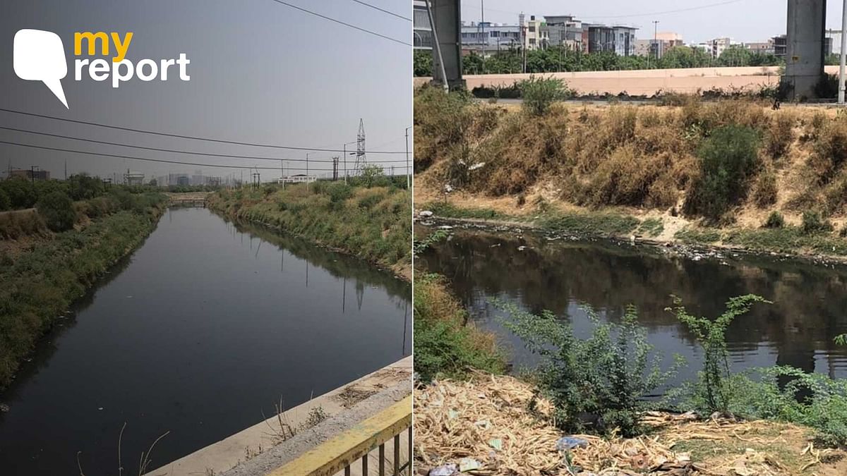 'Foul Smell, Poisonous Emissions – Noida's Drain Has Added to Our Misery' 
