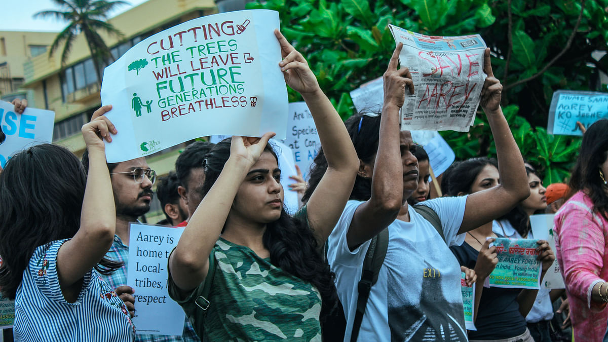 Here's how the 'Save Aarey' protests came into the spotlight again, after three years.