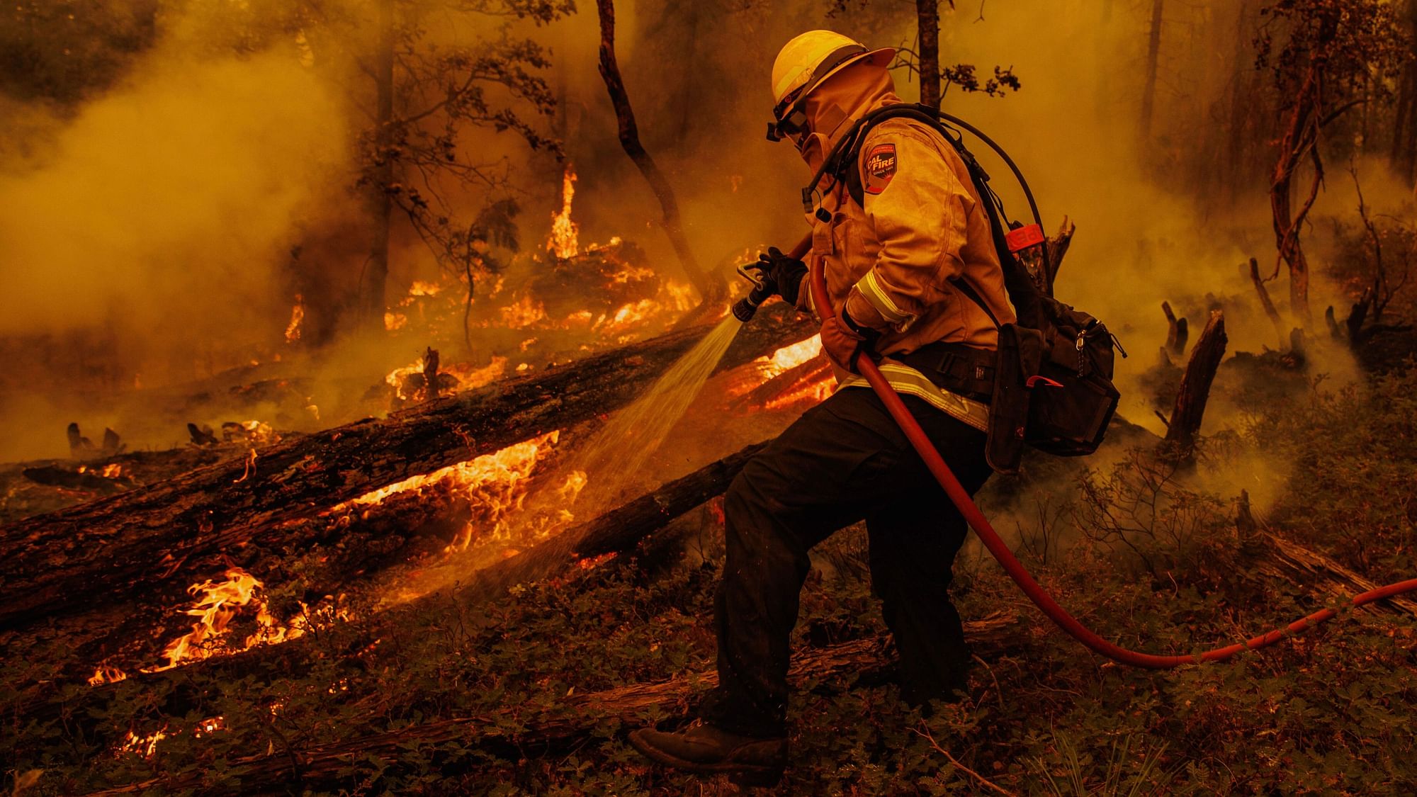 <div class="paragraphs"><p>A firefighter battles flames from the Oak Fire in unincorporated Mariposa County, California, on Sunday, 24 July.</p></div>