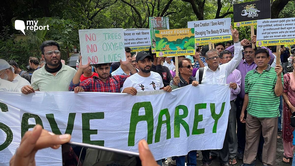 Mumbai Car Shed Protest: 'Aarey Is Crucial for Us, Need To Save the Forest'