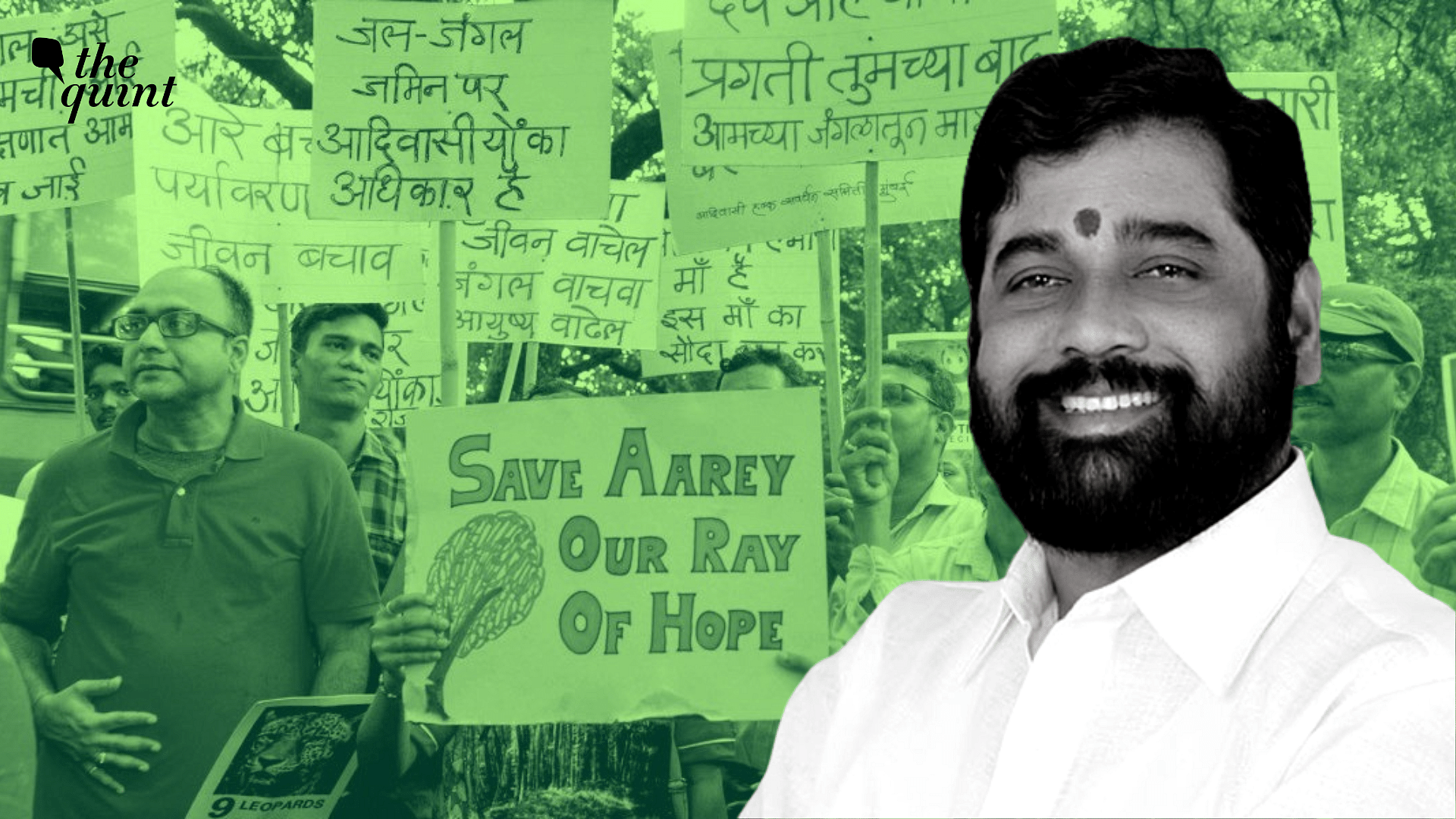 <div class="paragraphs"><p>The Maharashtra government, led by Chief Minister <a href="https://www.thequint.com/news/politics/eknath-shinde-profile-next-chief-minister-of-maharashtra-shiv-sena-leader-who-is-he">Eknath Shinde</a>, has also tasked the Mumbai Metro Rail Corporation (MMRC) to mobilise contractors and resume work at the site.</p></div>