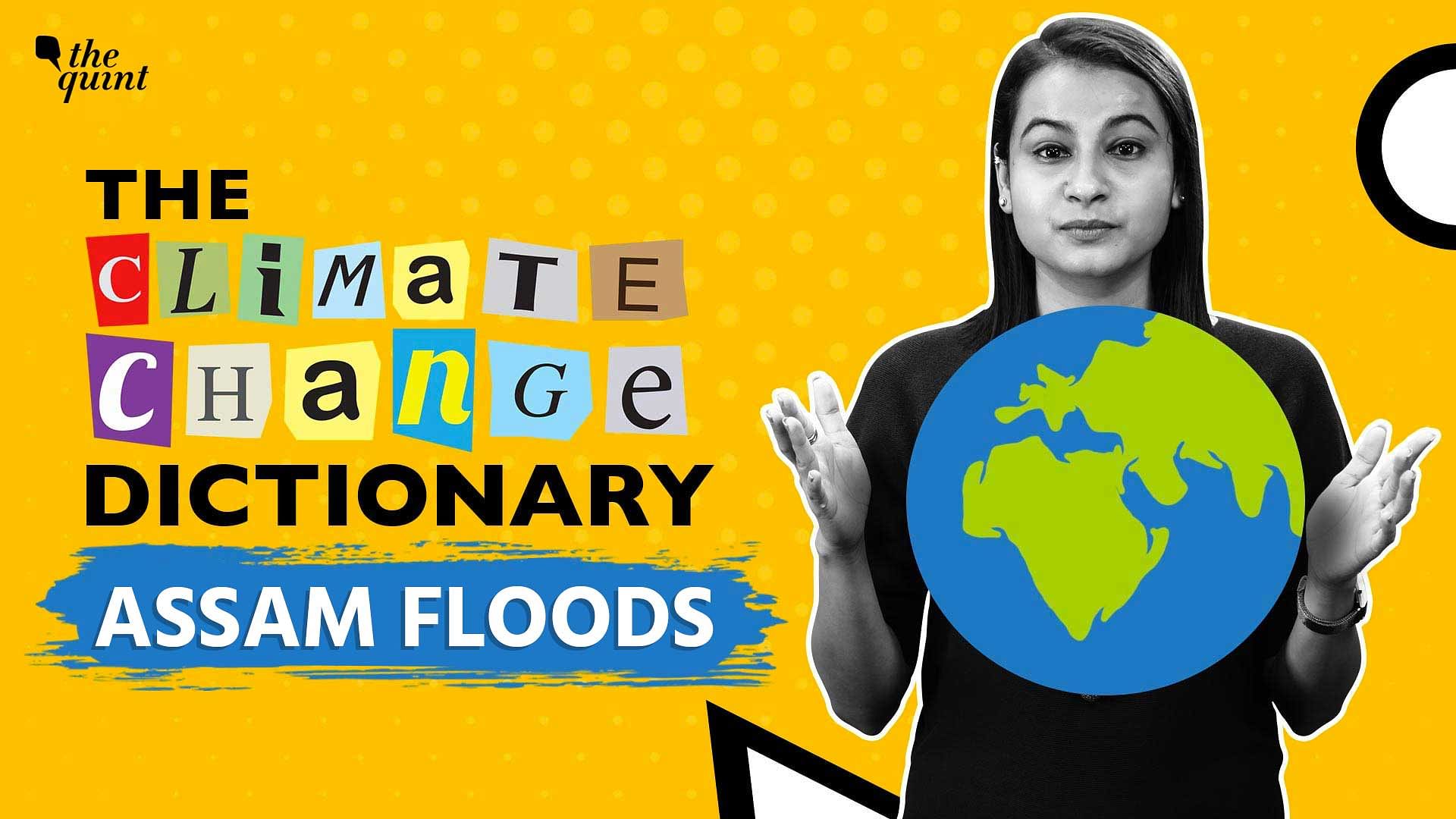 <div class="paragraphs"><p>The Climate Change Dictionary: Assam Flood</p></div>