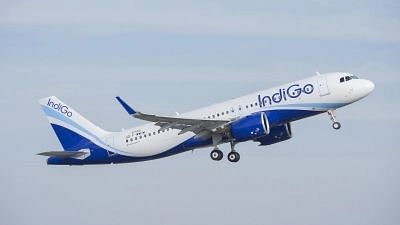 <div class="paragraphs"><p>IndiGo Airlines. Image used for representational purposes only.</p></div>