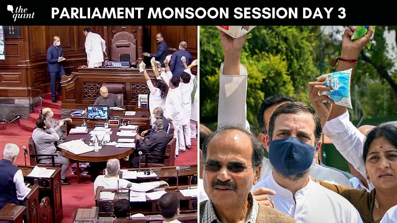 <div class="paragraphs"><p>As the <a href="https://www.thequint.com/news/india/monsoon-session-2022-new-key-bills-introduced-parliament-government">Monsoon Session</a> of the Parliament continues, the Rajya Sabha and the Lok Sabha were adjourned minutes after they convened at 11 am on Wednesday, 20 July, as the Opposition demanded a discussion on price rise.</p></div>