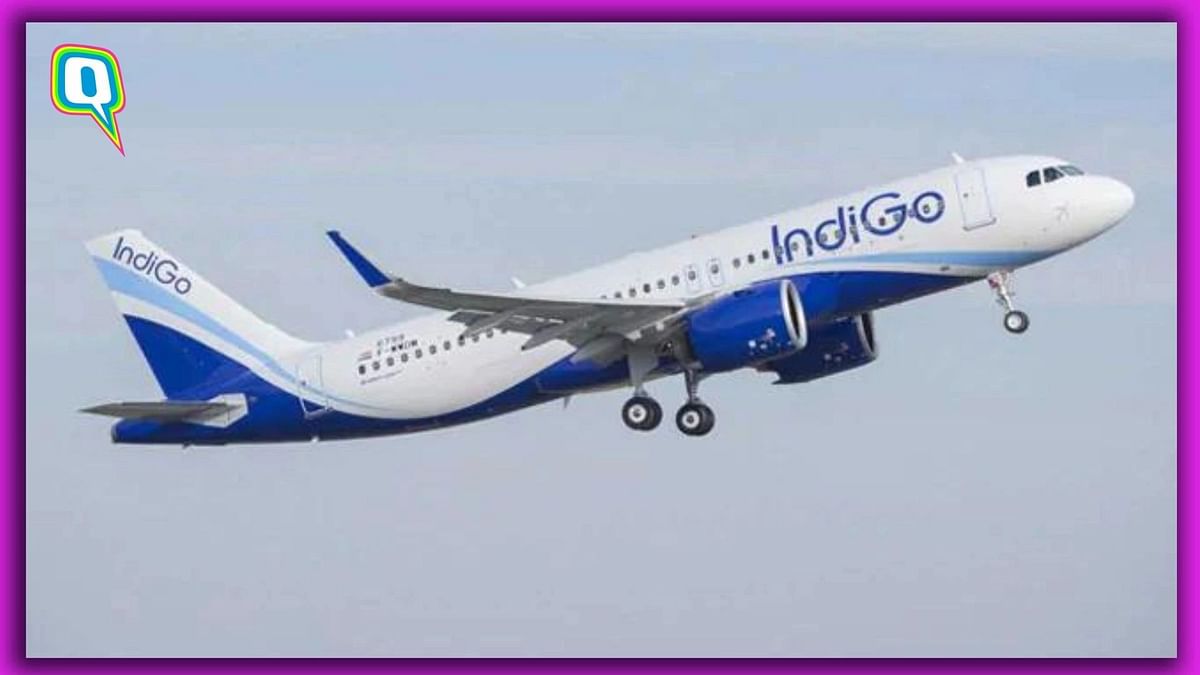 Indigo Charges Passenger ‘Cute Fee’, but It’s Not What You Think It Is