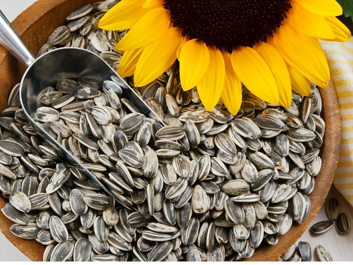 Skin and Health Benefits of Sunflower Seeds in Your Diet: Prevents Hair Loss,  Ensures Glowing Skin, and More