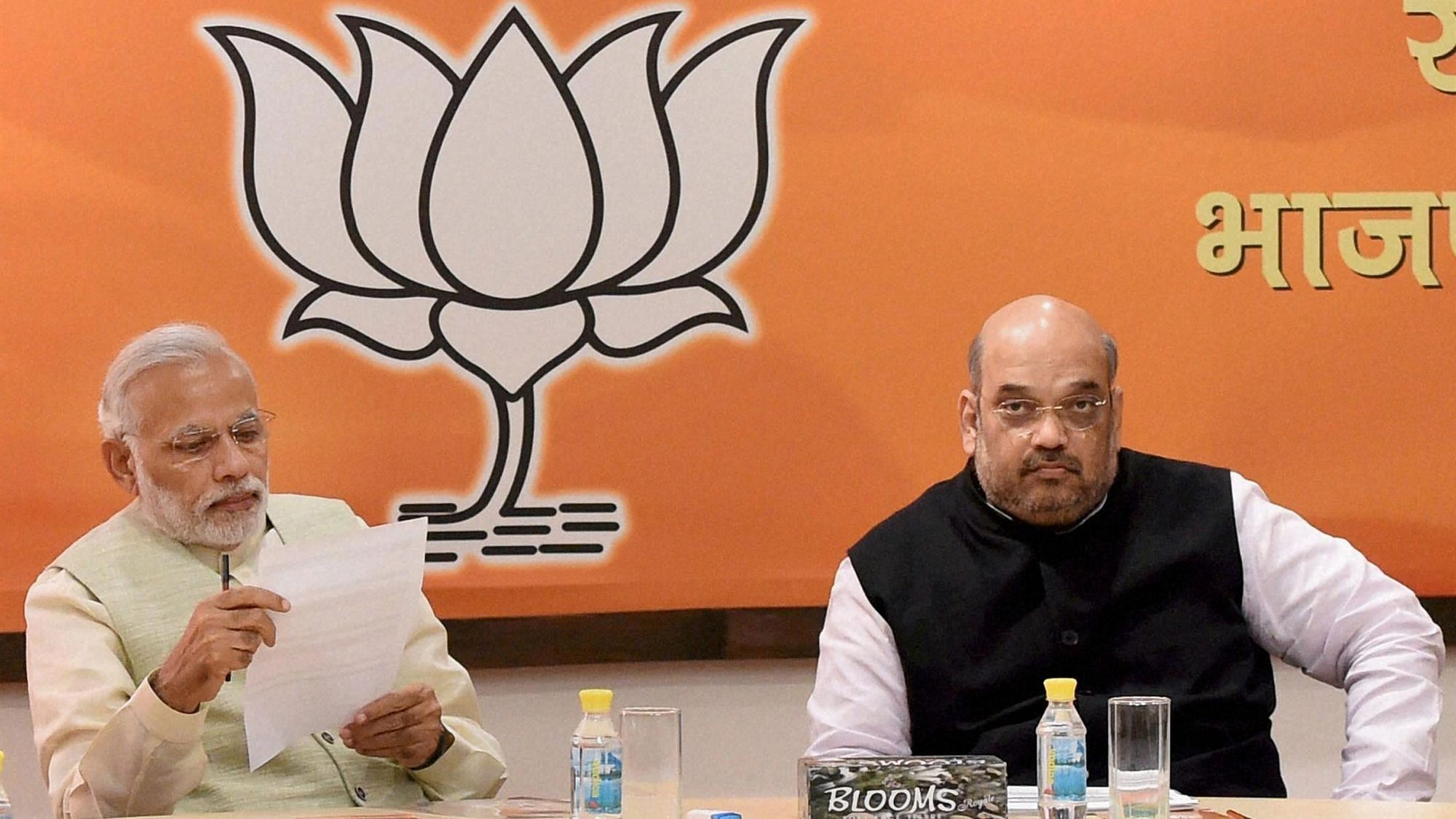 <div class="paragraphs"><p>Prime Minister Narendra Modi (L) and BJP president Amit Shah (R) at the parliamentary meeting of the BJP. </p></div>