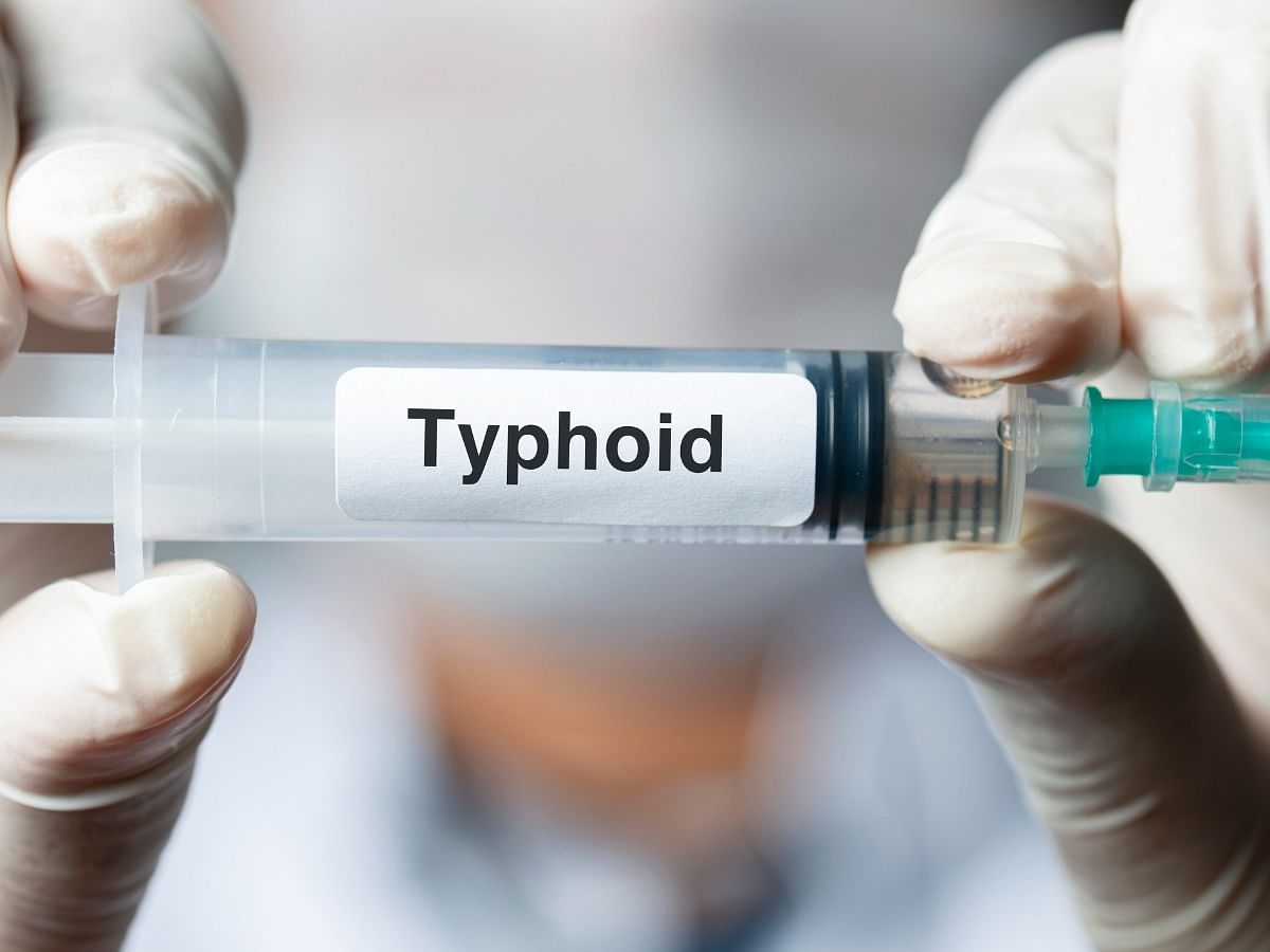 typhoid fever symptoms in adults