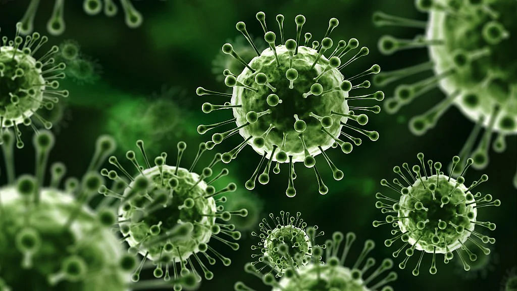 New Langya Virus Hits China: What Are the Symptoms? How Was It Discovered?