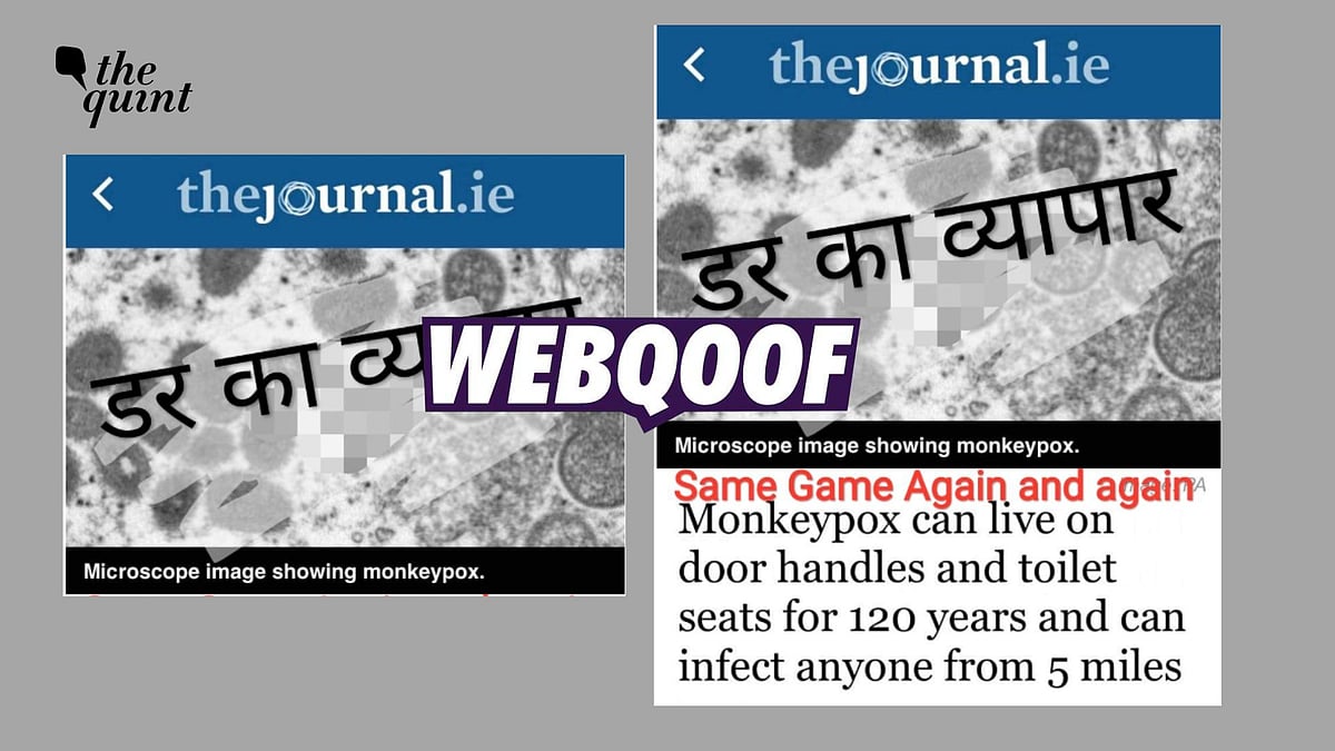 Fact-Check | TheJournal.ie Has Not Published Article Claiming Monkeypox Virus Will Survive for 120 Years - Vimarsana News