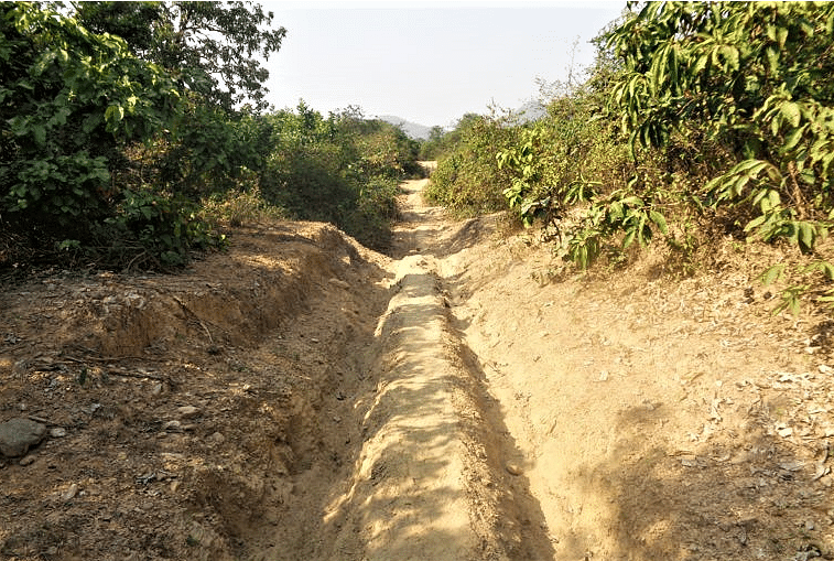 Large areas of Bihar's forest land are being diverted towards developmental projects. 