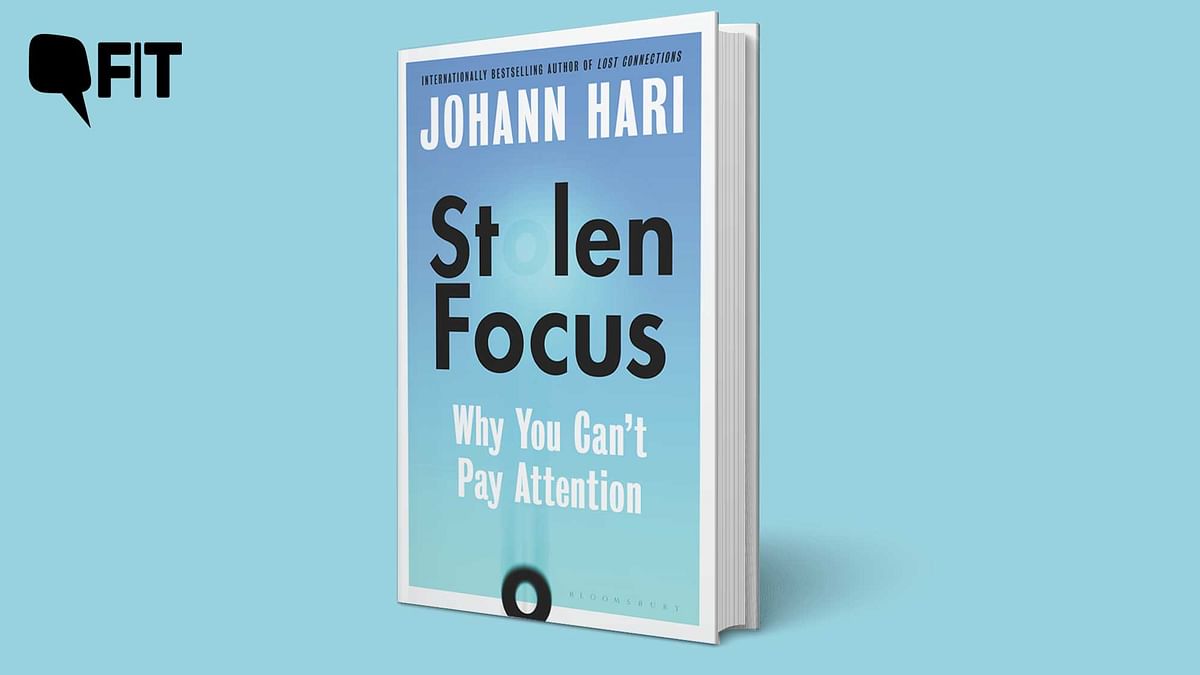 Book Excerpt: Johann Hari Is in Search of Our Stolen Attention Span