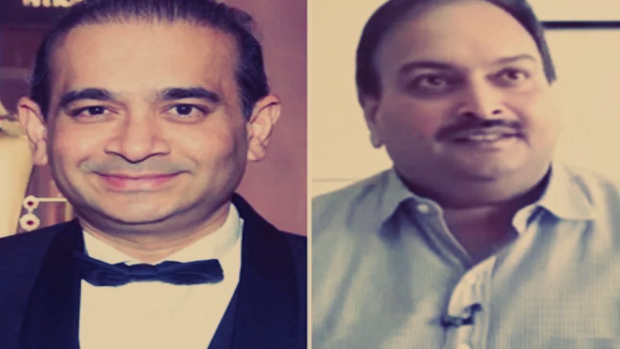 <div class="paragraphs"><p>The Rs 12,636-crore fraud was allegedly perpetrated by billionaire jeweller Nirav Modi and his uncle Mehul Choksi.</p></div>