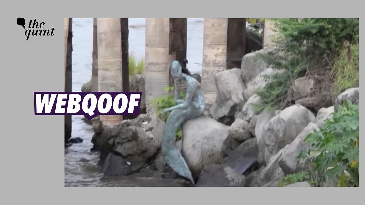 No Mermaid Was Spotted in Telangana, The Video is Digitally Created