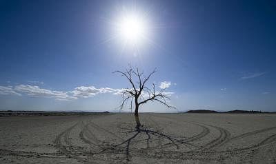Drought: Heavy Rain Might Be a Serious Problem for the UK’s Parched Landscape