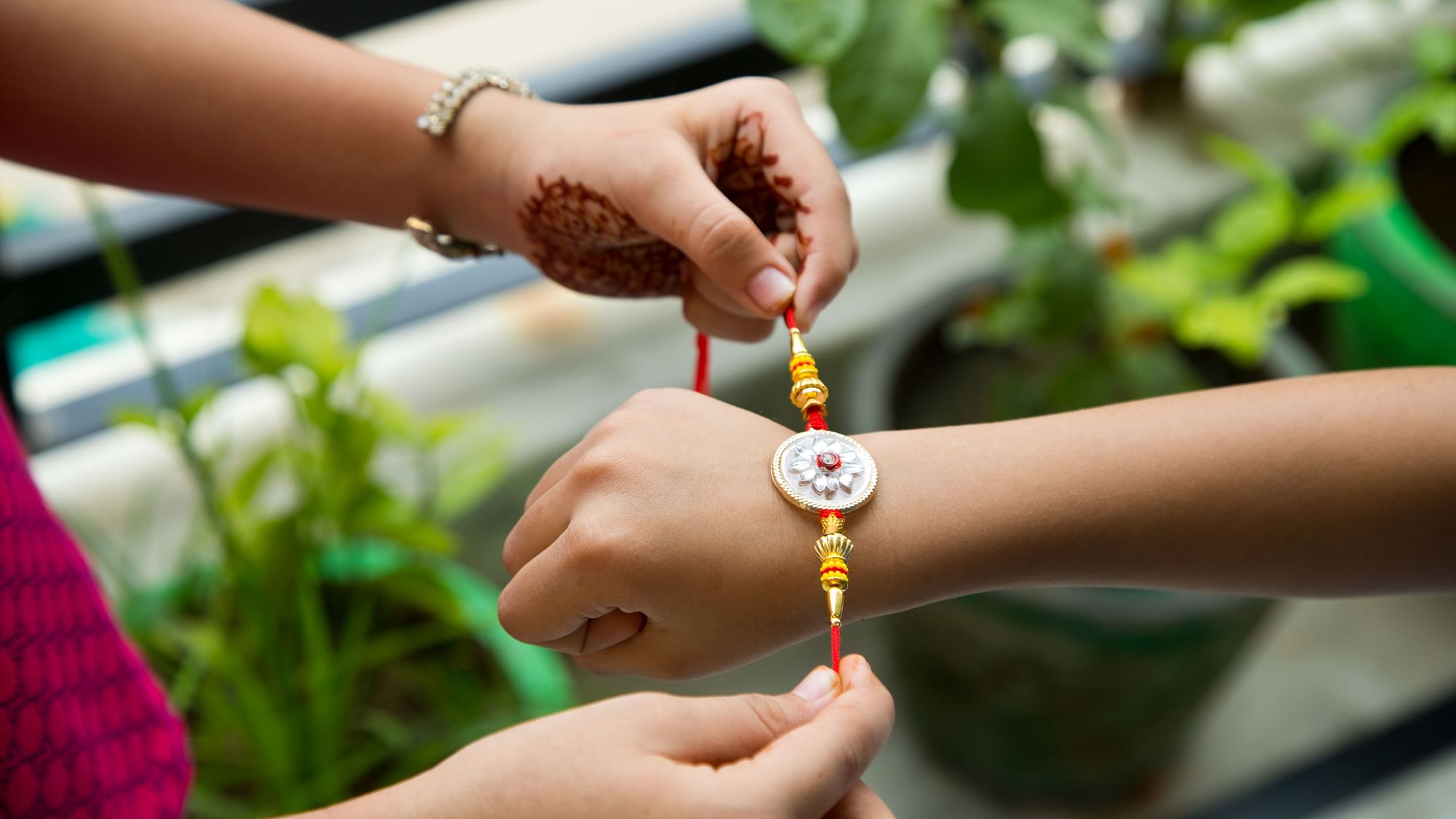 <div class="paragraphs"><p>Happy Raksha Bandhan 2022 Quotes that you can send to your sibling.</p></div>