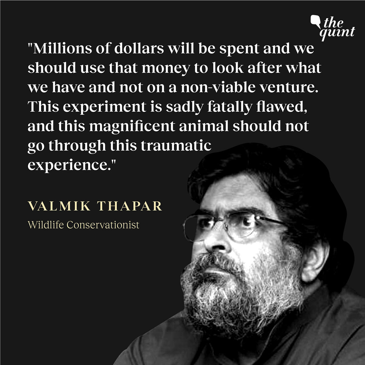 "The effort to introduce African Cheetahs is a high-risk venture which India does not need," Valmik Thapar 