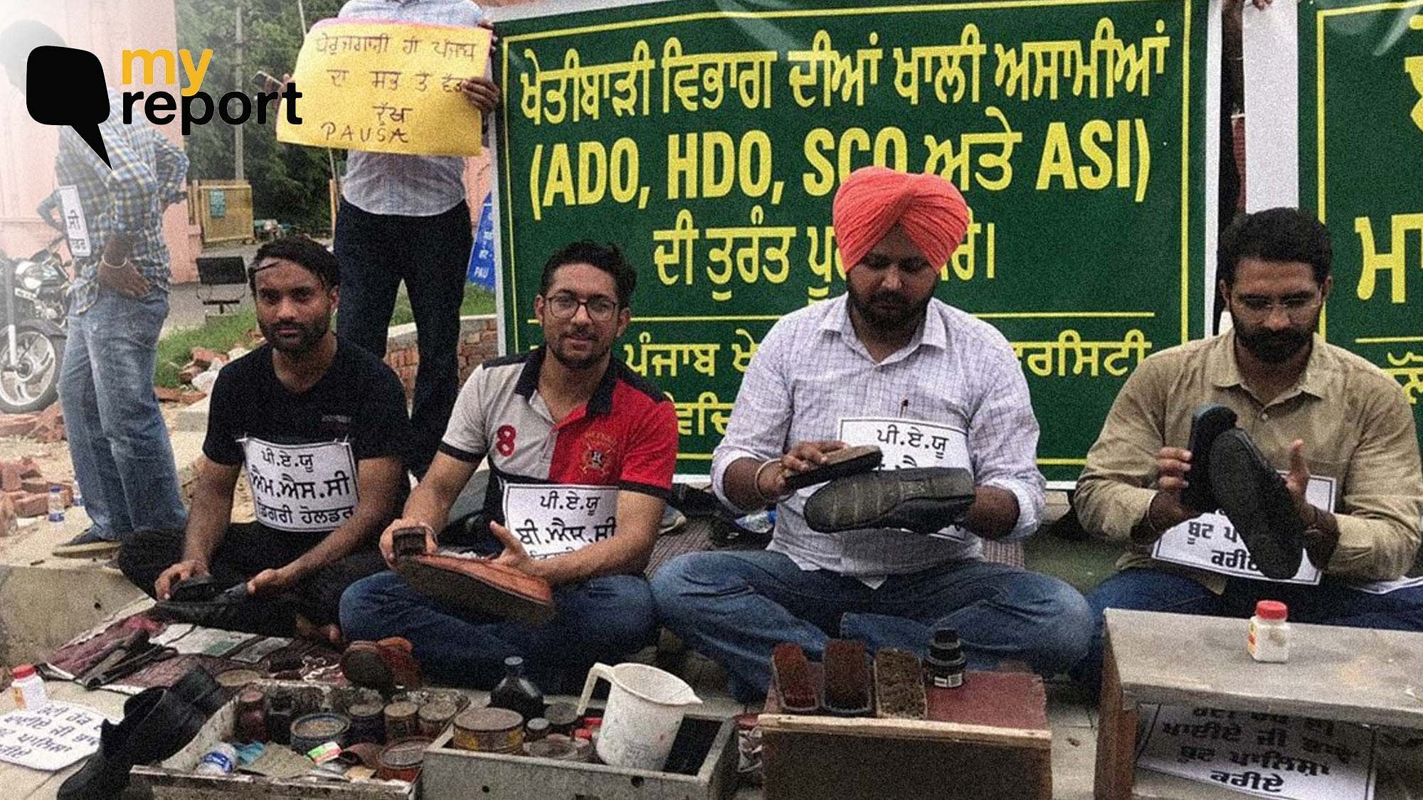 <div class="paragraphs"><p>Students protesting in Ludhiana outside PAU campus.</p></div>