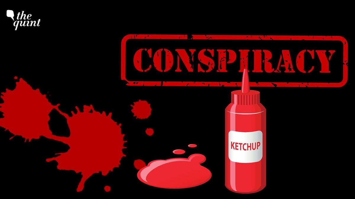 Killers and Ketchup: How a Bengaluru Murder Conspiracy Backfired Tragically