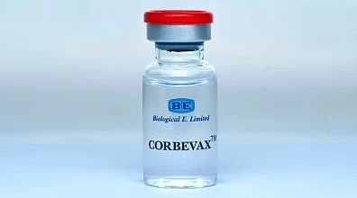 Adults Vaccinated with Covaxin, Covishield Can Take Corbevax as Precaution Dose