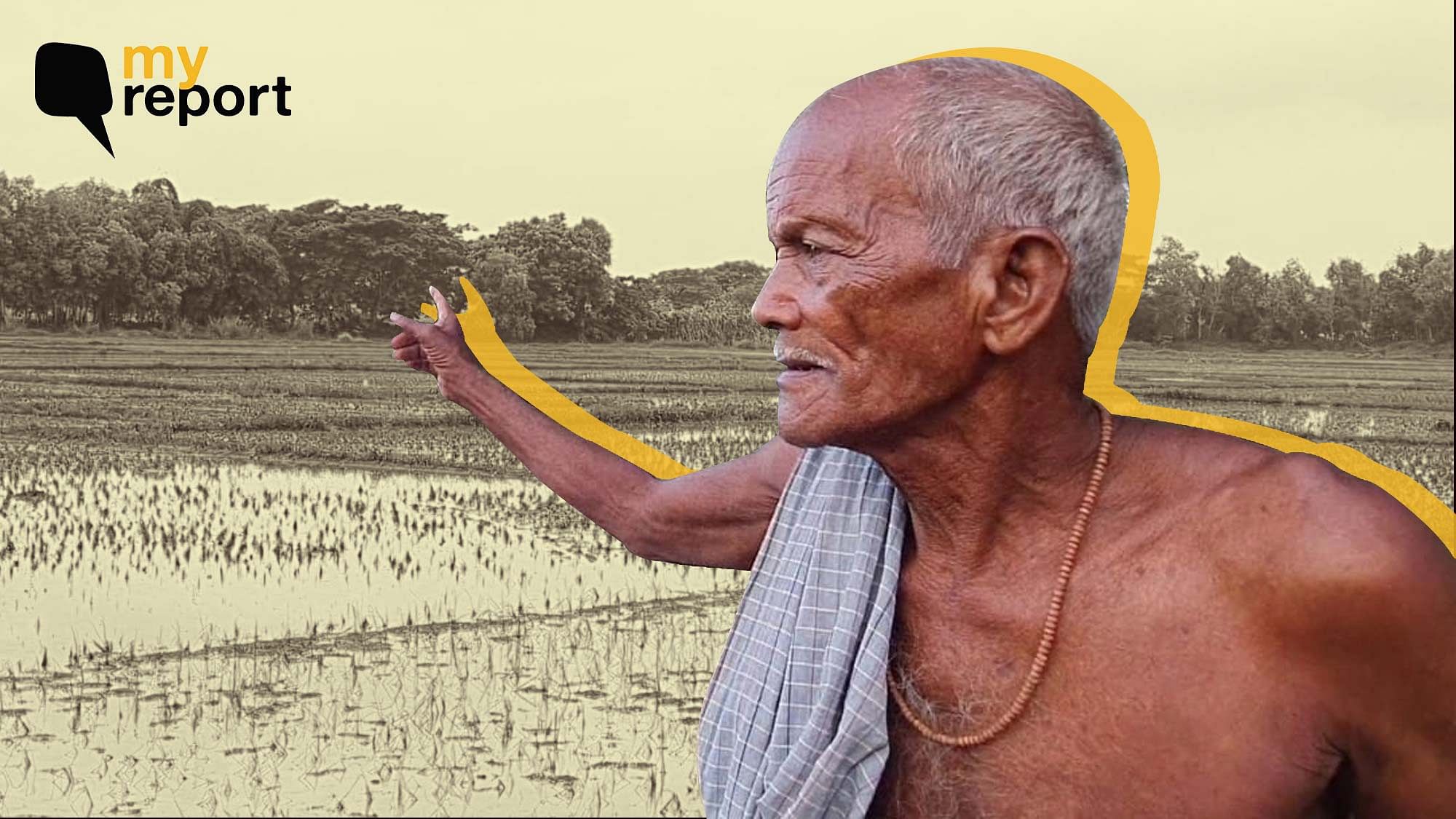 <div class="paragraphs"><p>Rainfall in Odisha has caused a havoc for farmers.</p></div>