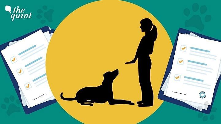 <div class="paragraphs"><p><a href="https://www.thequint.com/fit/underreporting-lack-of-testing-rabies-india">World Rabies Day</a>:&nbsp;India alone accounts for 36 percent of the total world’s death due to rabies.</p></div>