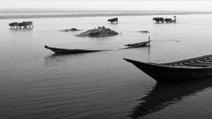 <div class="paragraphs"><p>Boats on the Padma River, which is the main distributary of the Ganges flowing into Bangladesh.</p></div>