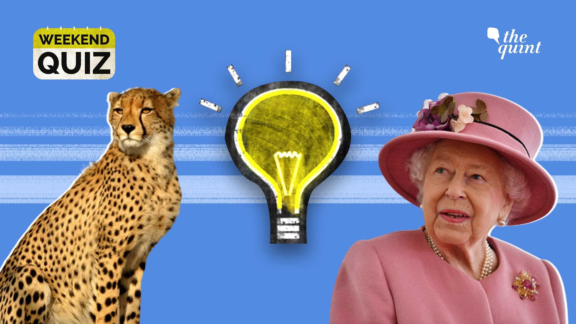 <div class="paragraphs"><p>From cheetahs being flown to India to the death of Queen Elizabeth II, have you been tracking the news this week?</p></div>