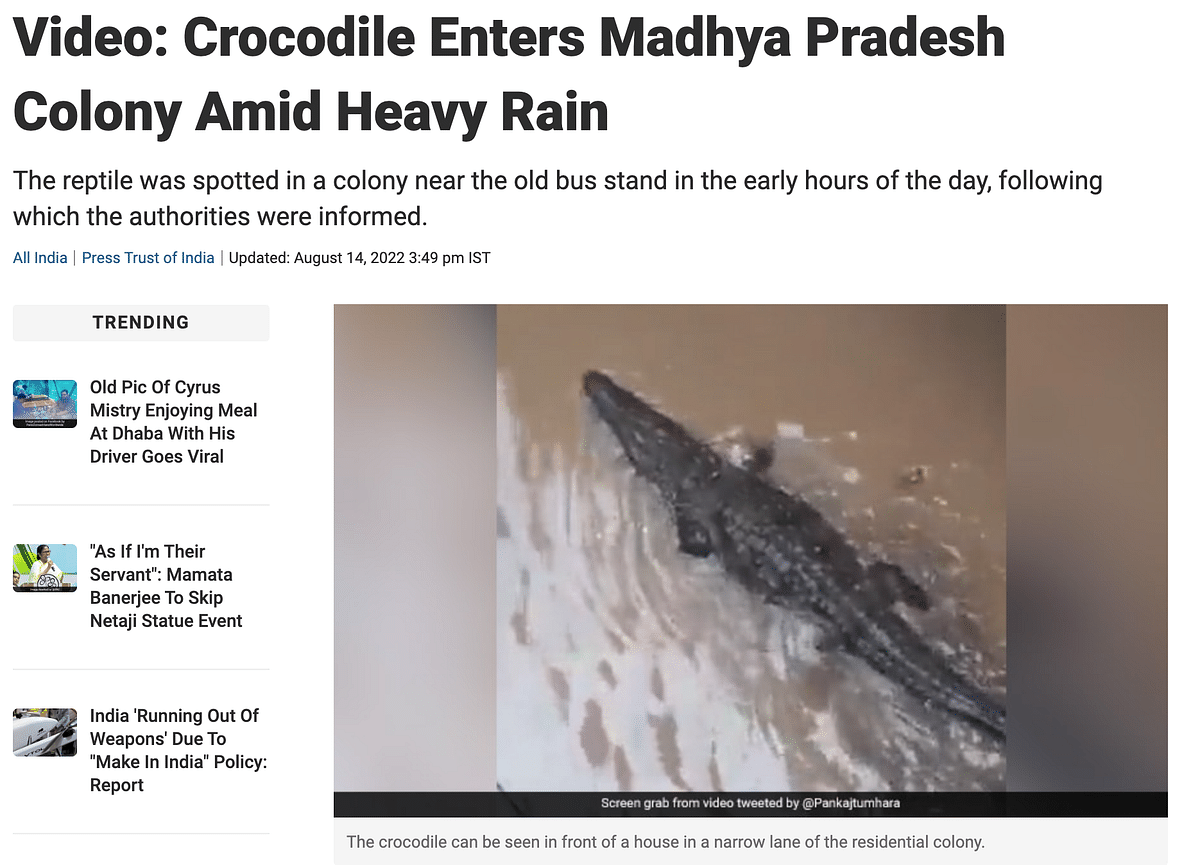 The video is from an incident which happened in the Shivpuri district of Madhya Pradesh, not Bengaluru. 