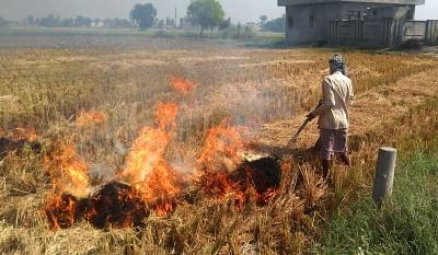 <div class="paragraphs"><p>Amritsar: A farmer burns stubble after the harvest of paddy, at an agricultural field on the outskirts of Amritsar, on Oct 23, 2019. </p></div>