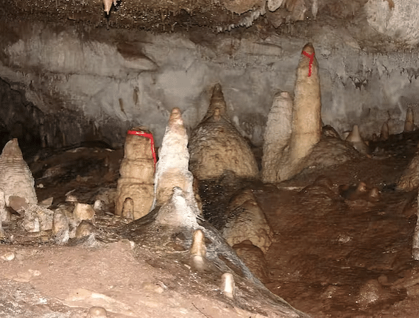 The stalagmites are more than geological wonders. Their layers record the region’s rainfall history. 