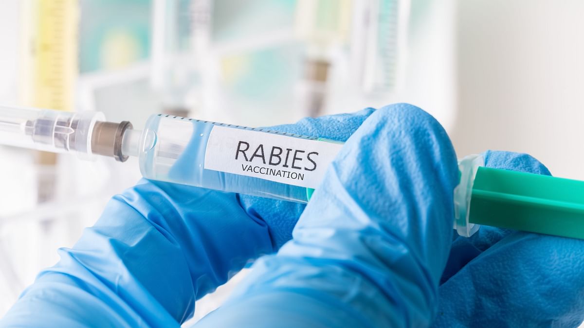 Rabies kills up to 20,000 people every year in India. But it is not a matter of public attention.
