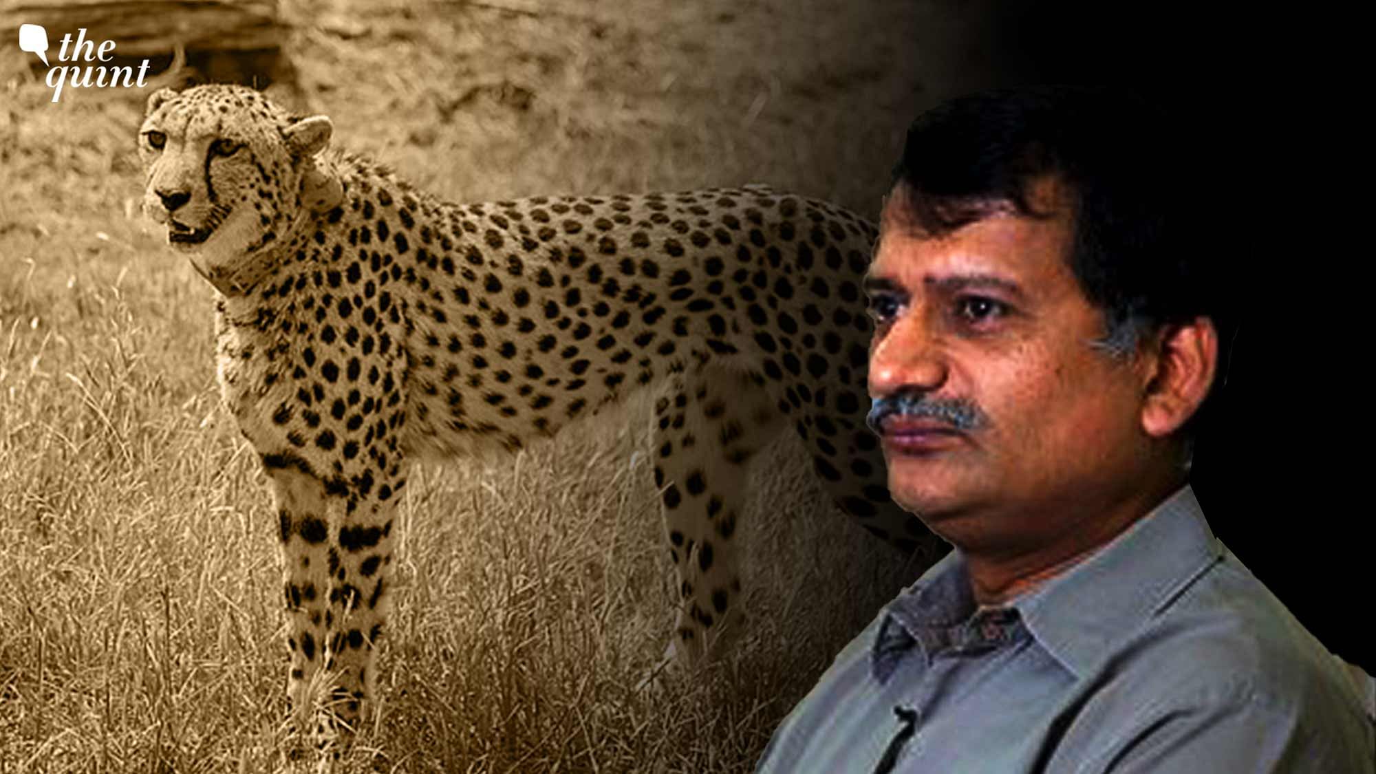 <div class="paragraphs"><p>Dr. Ravi Chellam is a wildlife biologist and conservation scientist based in Bengaluru, India.</p></div>