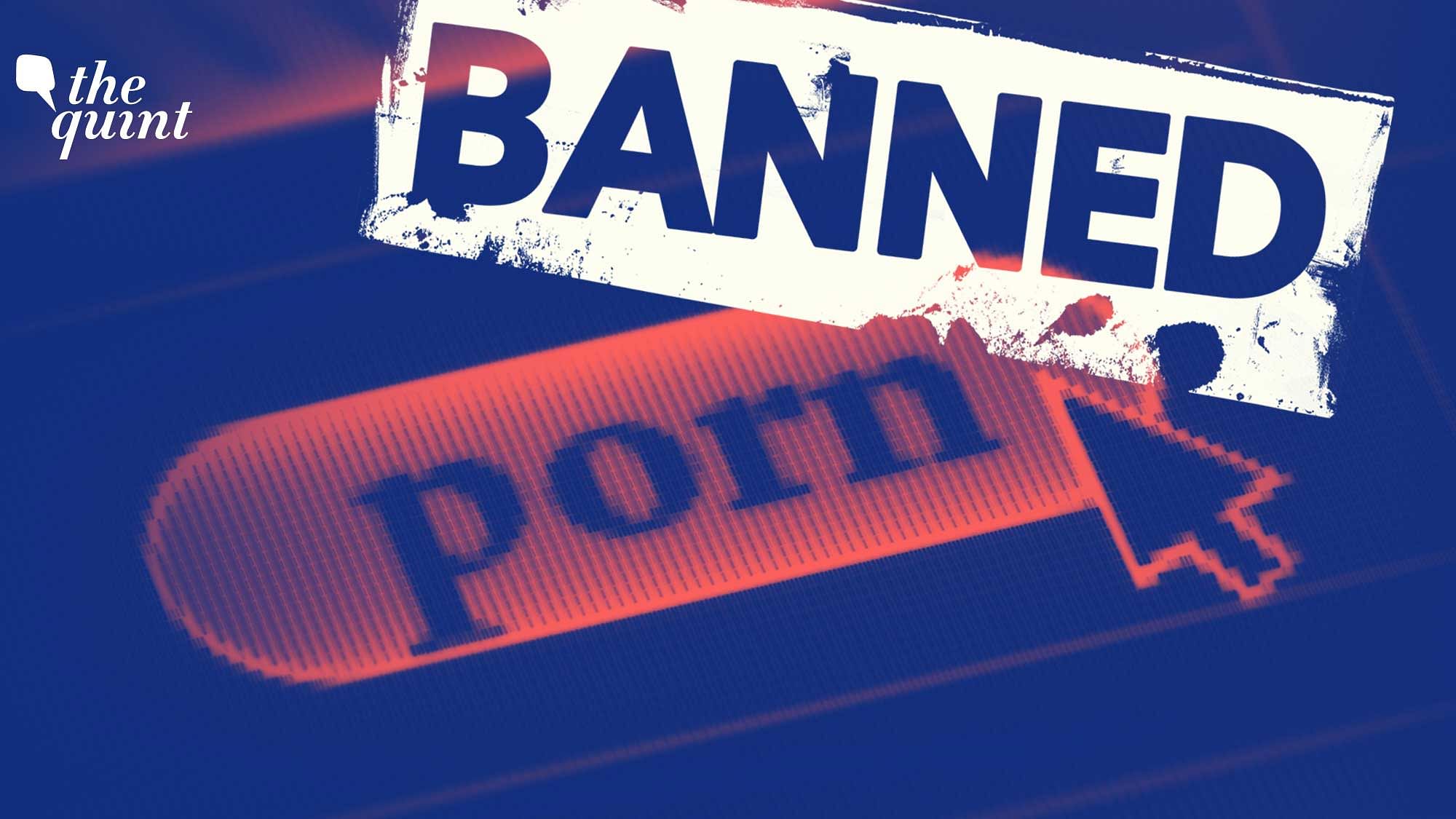 <div class="paragraphs"><p>This is the second time that the government has taken a step to ban pornographic websites since 2018.</p></div>