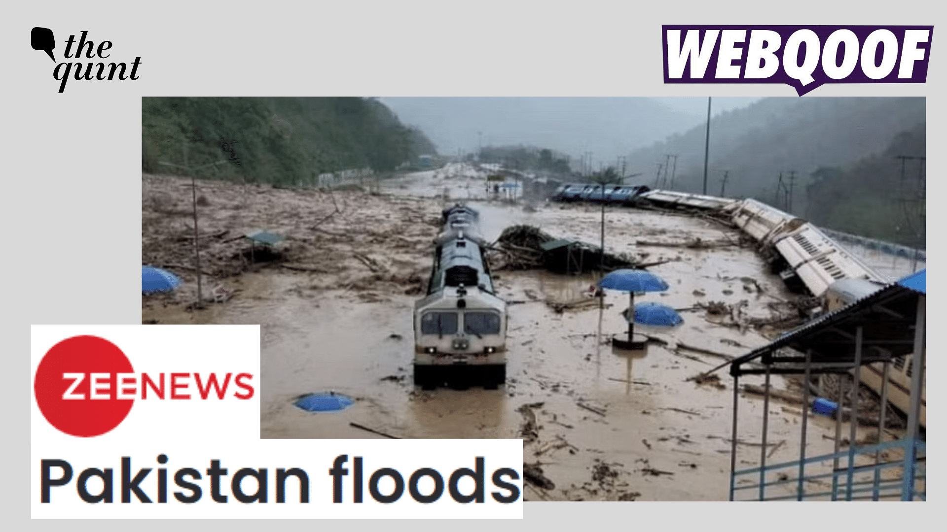 <div class="paragraphs"><p>Fact-check: Old photo of Assam floods shared as Pakistan floods.</p></div>