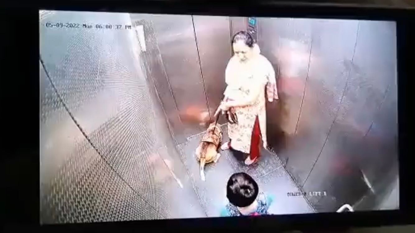 <div class="paragraphs"><p>CCTV footage shows the dog pouncing on the boy and biting him, while the owner looks on and does nothing.&nbsp;</p></div>