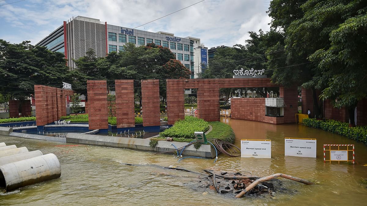 Bengaluru Floods: Karnataka Minister To Meet IT Reps, Schools Remain Shut